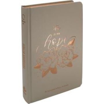 Imagem de BIBLIA LETRA GRANDE CAPA DURA - 4ª ED