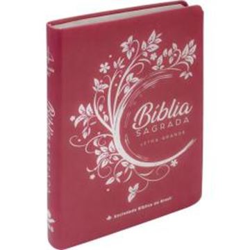 Imagem de BIBLIA SAGRADA LETRA GRANDE - ALMEIDA REVISTA E CORRIGIDA - 2ª ED