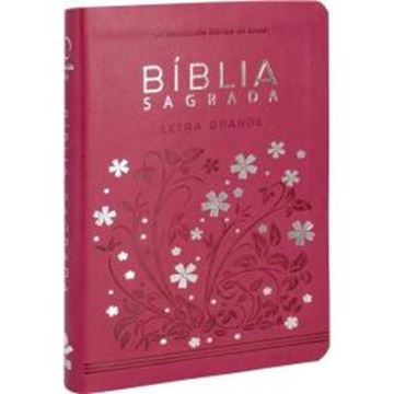 Imagem de BIBLIA SAGRADA LETRA GRANDE - ALMEIDA REVISTA E ATUALIZADA - 2ª ED
