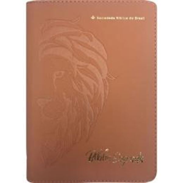 Picture of BIBLIA LINHA OURO - LEAO, LETRA GRANDE, CAPA CARAMELO, INDICE IMPRESSO, BEIRA PINTADA E ZIPER - 4ª ED