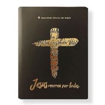 Imagem de BIBLIA LINHA OURO - JESUS, CAPA PRETA, INDICE DIGITAL, BEIRA PINTADA E ZIPER - 4ª ED