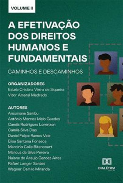 Picture of A EFETIVACAO DOS DIREITOS HUMANOS E FUNDAMENTAIS - CAMINHOS E DESCAMINHOS - VOL. 2