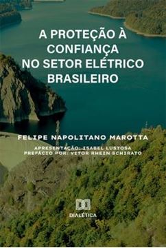 Imagem de PROTECAO A CONFIANCA NO SETOR ELETRICO BRASILEIRO, A