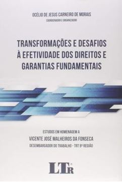 Imagem de TRANSFORMAÇÕES E DESAFIOS À EFETIVIDADE DOS DIREITOS E GARANTIAS FUNDAMENTAIS