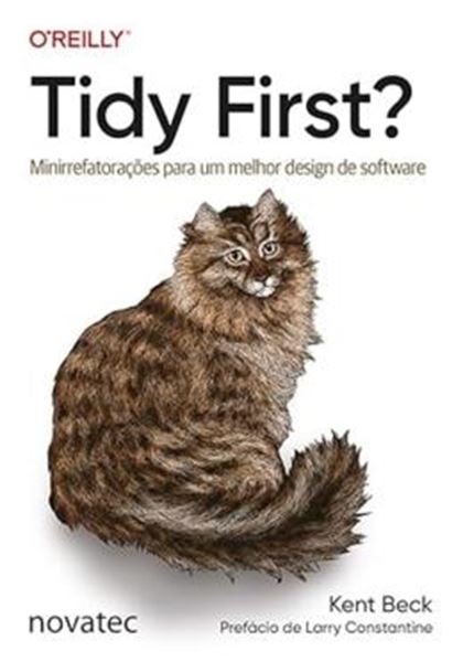 Picture of TIDY FIRST?