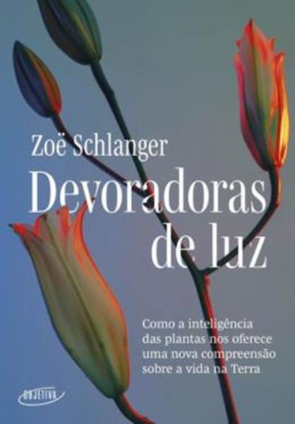 Picture of DEVORADORAS DE LUZ