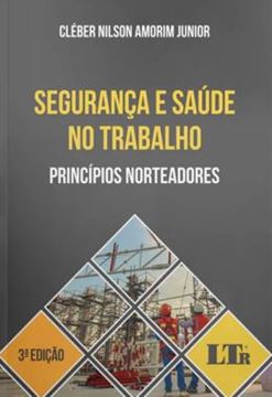 Imagem de SEGURANCA E SAUDE NO TRABALHO - PRINCIPIOS NORTEADORES