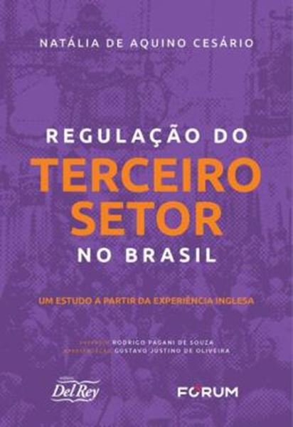 Picture of REGULACAO DO TERCEIRO SETOR NO BRASIL