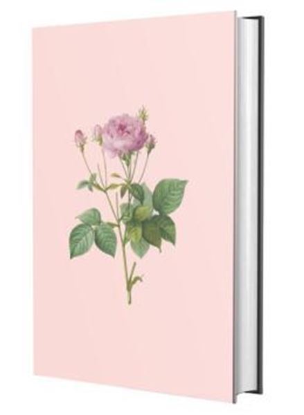 Picture of BIBLIA SAGRADA ACF - ROSA SAROM