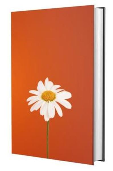 Picture of BIBLIA SAGRADA NVI - MARGARIDA
