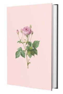 Imagem de BIBLIA SAGRADA NVI - ROSA DE SAROM