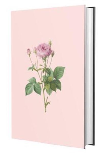 Picture of BIBLIA SAGRADA NVI - ROSA DE SAROM