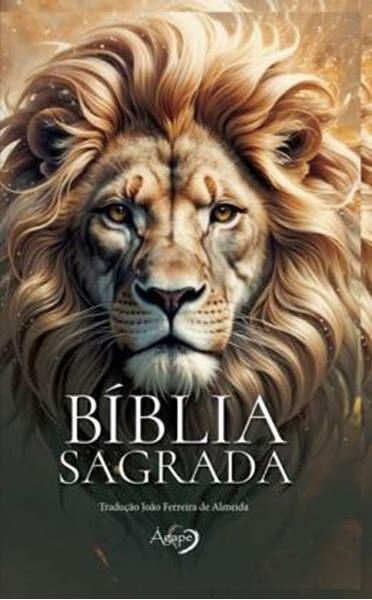 Picture of BIBLIA SAGRADA