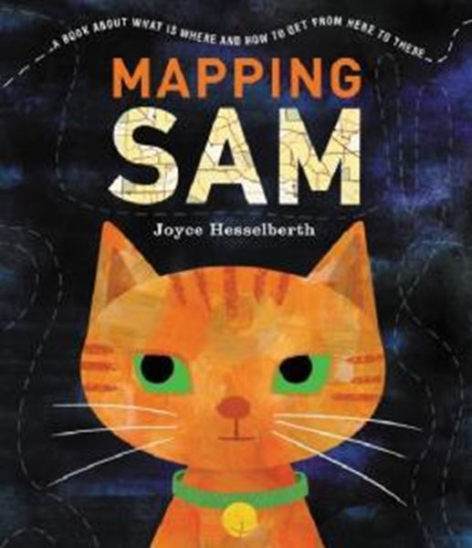 Picture of MAPPING SAM