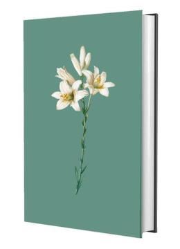 Imagem de BIBLIA SAGRADA NVI - LIRIOS TURQUESA