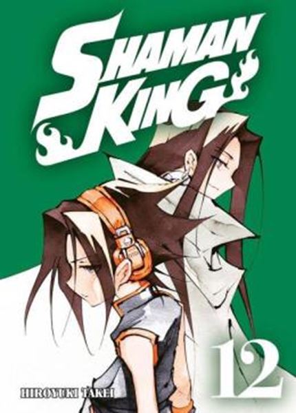 Picture of SHAMAN KING BIG VOL. 12