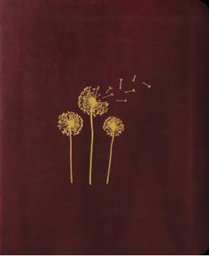 Imagem de BIBLIA MULHERES NAA - 1 COLUNA - SOPRO DIVINO. - POR VIVIANE MARTINELLO