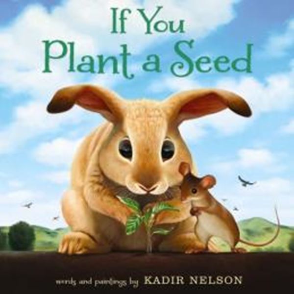 Picture of IF YOU PLANT A SEED