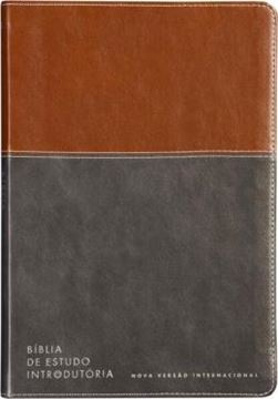 Imagem de BIBLIA DE ESTUDO INTRODUTORIA, NVI, COURO-SOFT MARROM E CINZA CHUMBO, LEITURA PERFEITA
