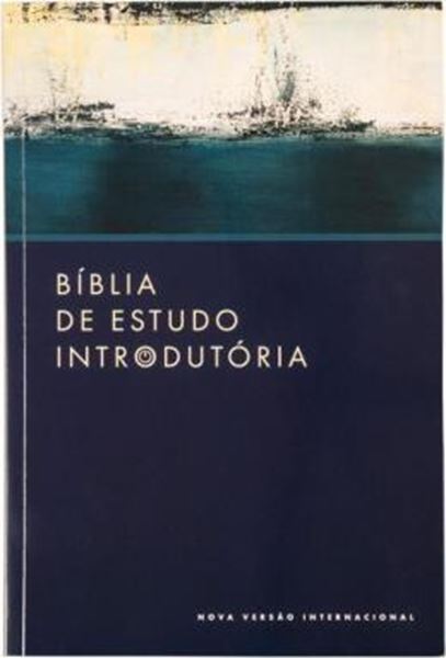 Picture of BIBLIA DE ESTUDO INTRODUTORIA, NVI, BROCHURA, LEITURA PERFEITA