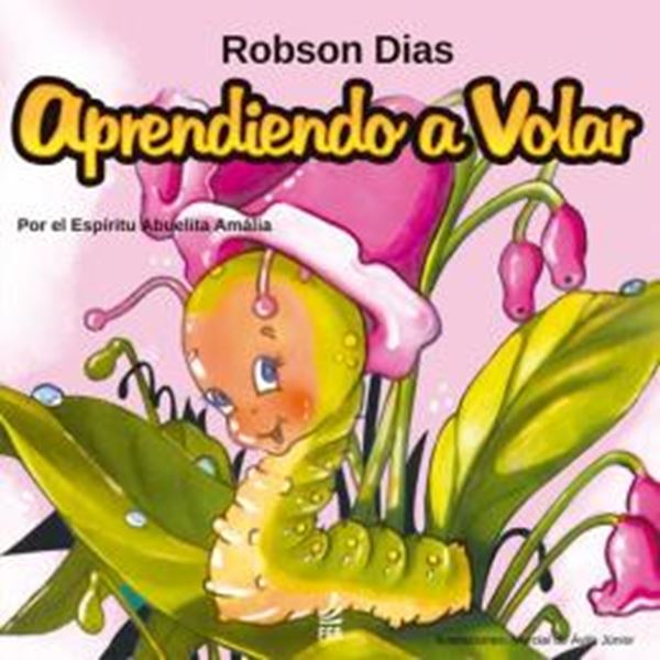 Picture of APRENDIENDO A VOLAR