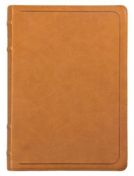 Imagem de BIBLIA ACF COM REFERENCIAS CRUZADAS E PALAVRAS DE JESUS EM AZUL, COURO-SOFT MOSTARDA, LETRA GRANDE, LEITURA PERFEITA