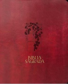 Imagem de BIBLIA MULHERES NVT - UMA COLUNA - VIDEIRA VINHO