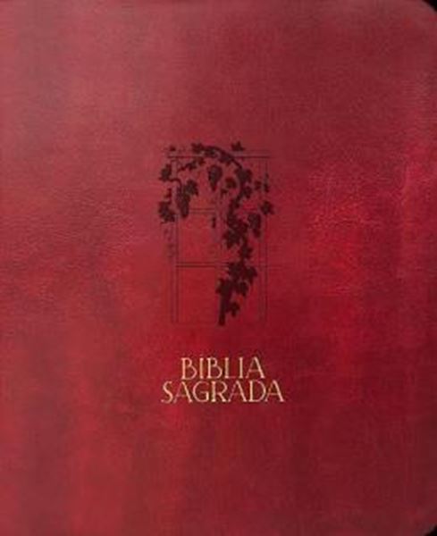 Picture of BIBLIA MULHERES NVT - UMA COLUNA - VIDEIRA VINHO