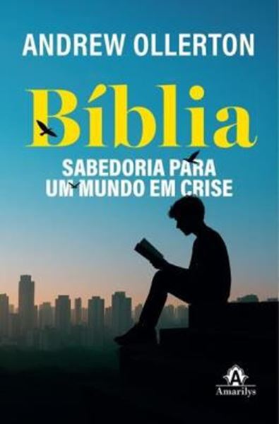 Picture of BIBLIA - SABEDORIA PARA UM MUNDO SEM CRISE - IDEAL PARA LEITURAS DEVOCIONAIS OU DISCUSSOES EM GRUPO