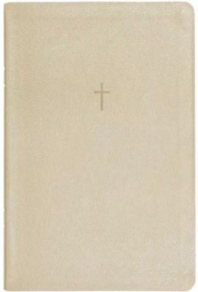 Picture of BIBLIA COM MAPAS MENTAIS NAA - LETRA GRANDE - BEGE