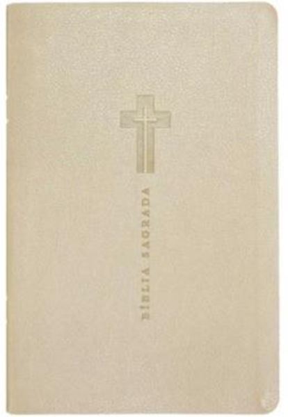 Picture of BIBLIA NVI - COM MAPAS MENTAIS LETRA GRANDE - MARROM