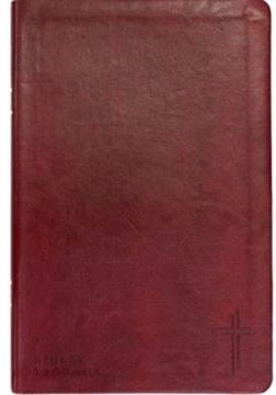 Imagem de BIBLIA COM MAPAS MENTAIS - NVT - LETRA GRANDE - VINHO