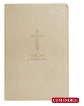 Imagem de BIBLIA LETRA GIGANTE NVI - BEGE C/INDICE - MAPAS MENTAIS