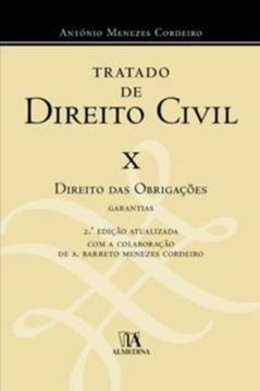 Imagem de TRATADO DE DIREITO CIVIL - DIREITO DAS OBRIGACOES GARANTIAS - VOLUME 10
